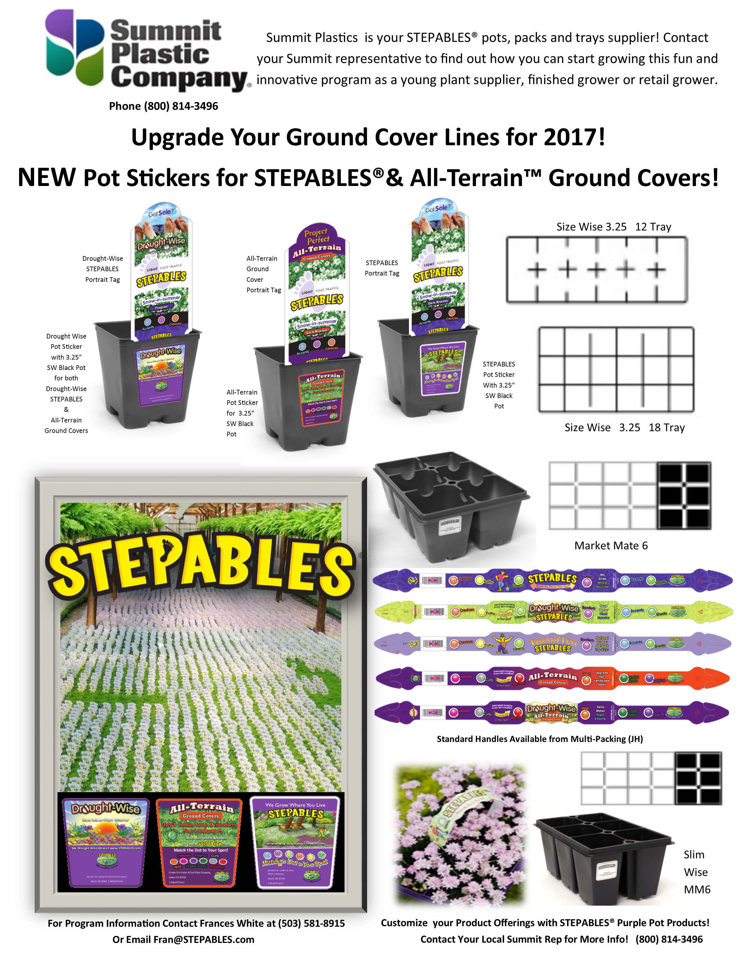 STEPABLES Summit Plastic Co Sales sheet 2016-17.png